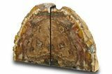 Tall, Colorful Petrified Wood Bookends - Madagascar #274839-1